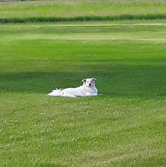 Meet your Posher, Emily - Picture 2 of 3